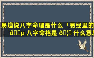 易道说八字命理是什么「易经里的 🐵 八字命格是 🦉 什么意思」